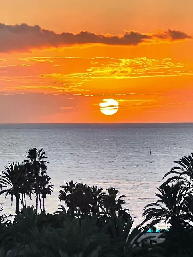 Sunset Tenerife Playa de las Americas  Playa de las Americas (Tenerife)